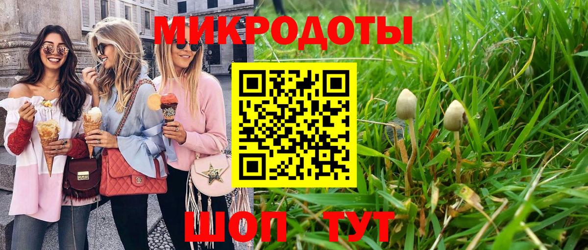 Галлюциногенные грибы Magic Shrooms Знаменск